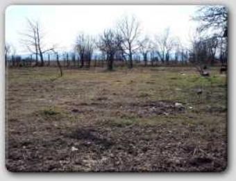 Plot with a nice forest view Varna
